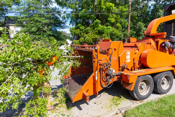 Best Tree Pruning Services  in Mount Oliver, PA